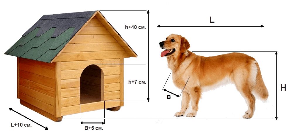 размер будки для собак